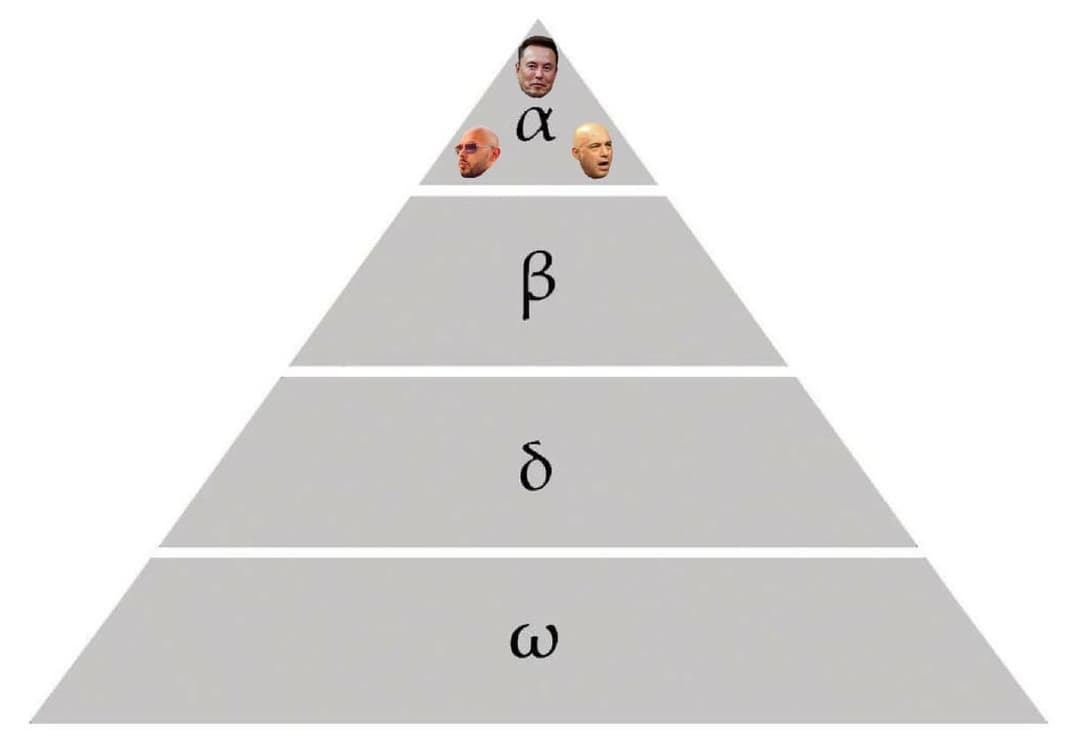 hierarchy